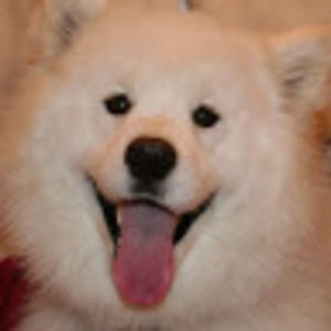 Meet your Posher, Mary-jo